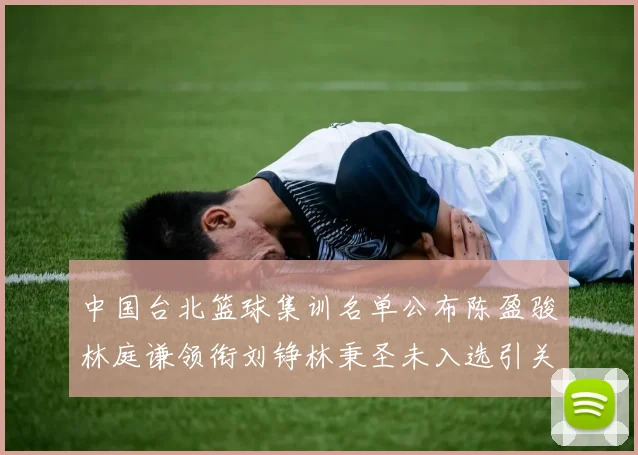 中国台北篮球集训名单公布陈盈骏林庭谦领衔刘铮林秉圣未入选引关注