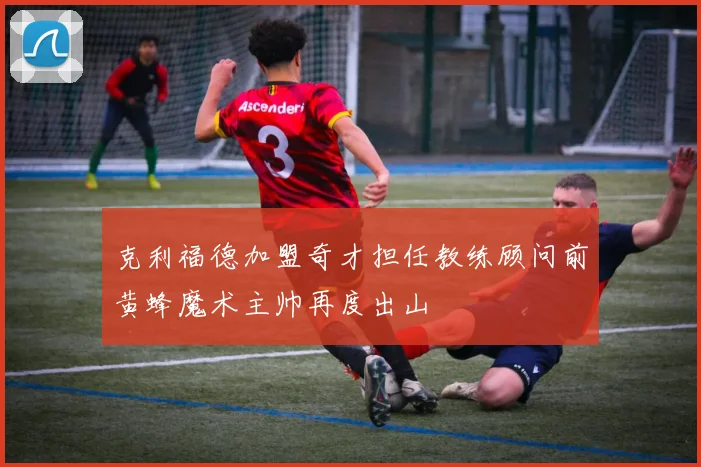 克利福德加盟奇才担任教练顾问前黄蜂魔术主帅再度出山