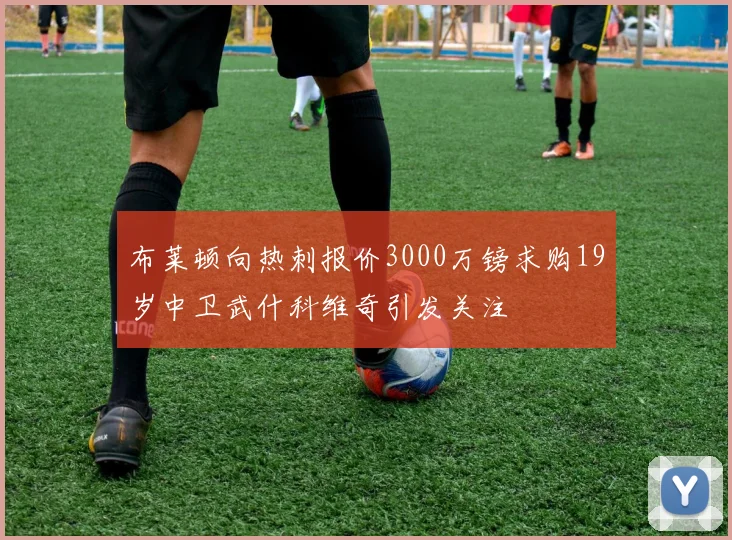 布莱顿向热刺报价3000万镑求购19岁中卫武什科维奇引发关注