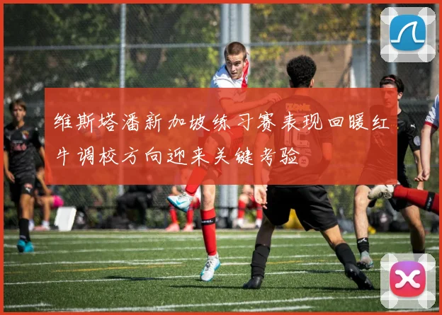 维斯塔潘新加坡练习赛表现回暖红牛调校方向迎来关键考验